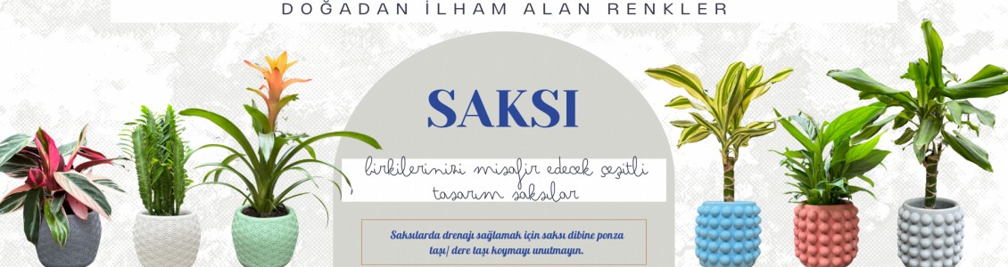 Saksı