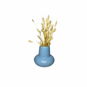 Thic Pot (Mavi)